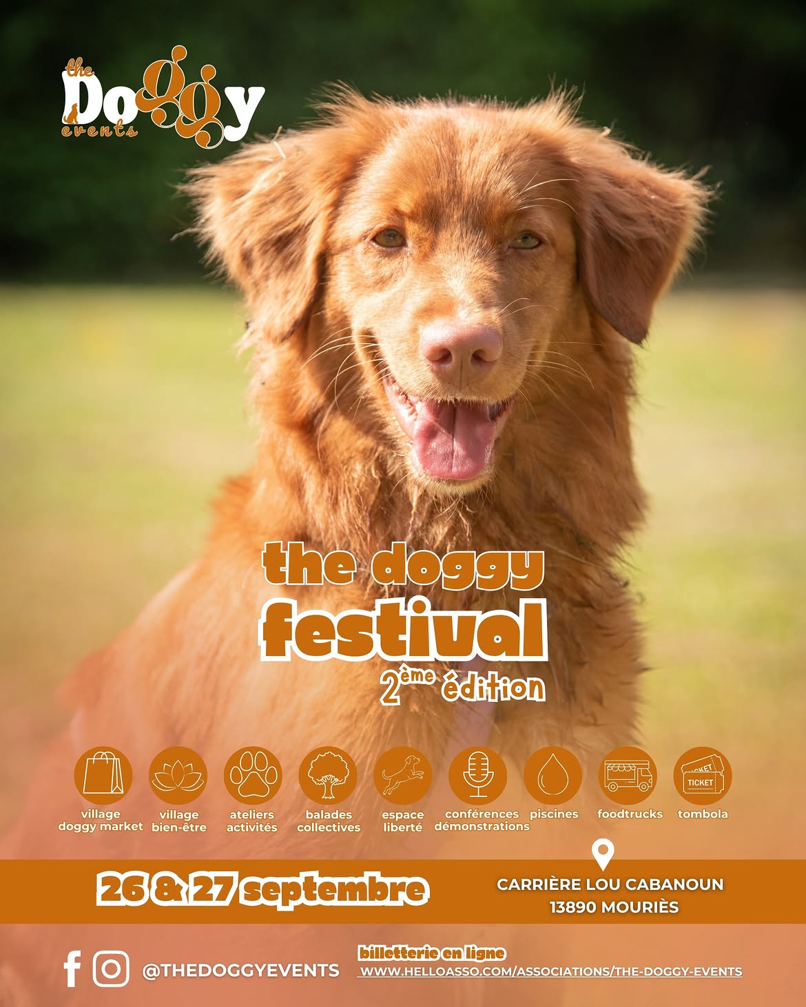 The Doggy Festival