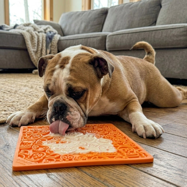 Tapis de léchage - Cat & Dog