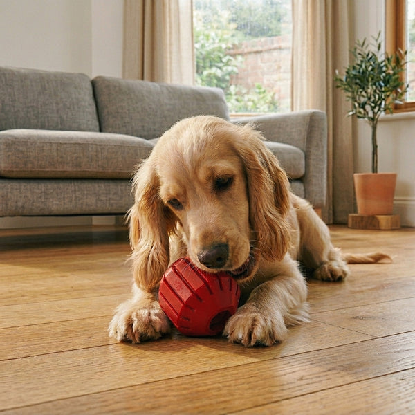KONG Stuff-A-Ball