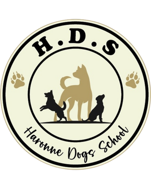 Haronne Dogs School