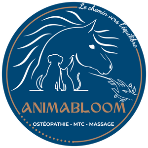 Animabloom