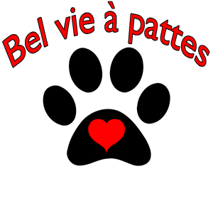 Bel Vie à Pattes