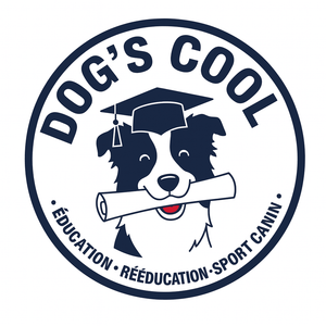 Dog's cool