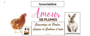 Amour de plumes