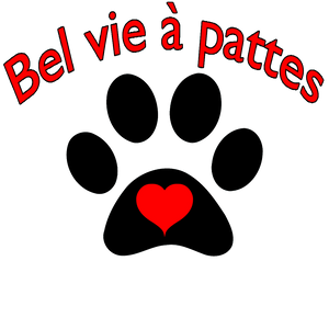 Bel Vie à Pattes